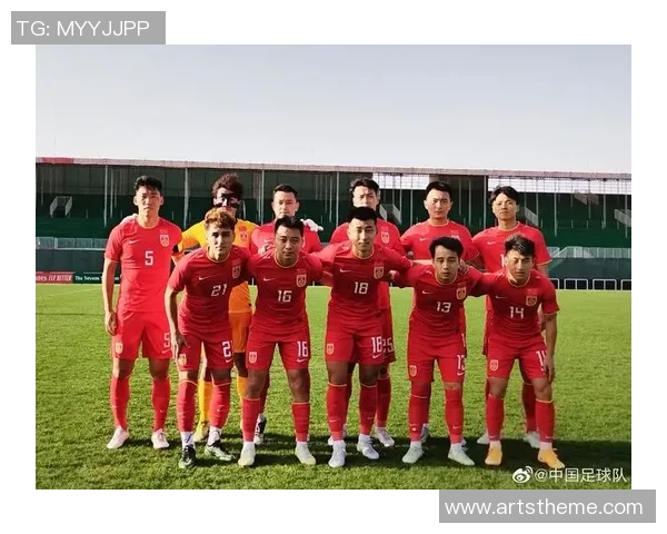 南京足球队在全国锦标赛中的战术分析与表现评估 南京足球队在全国锦标赛中的战术分析与表现评估