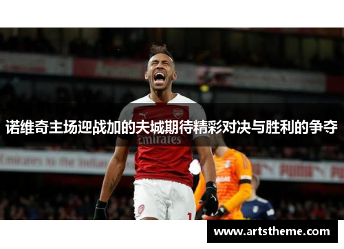 诺维奇主场迎战加的夫城期待精彩对决与胜利的争夺